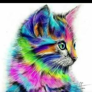 Meet your Posher, Carla